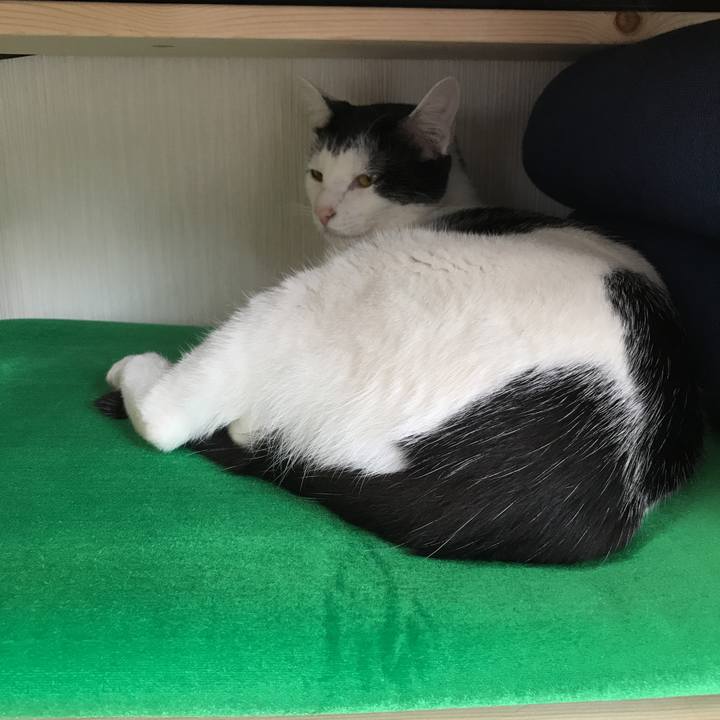 590ea5e4 fba6 4517 abee 86ceec00500f