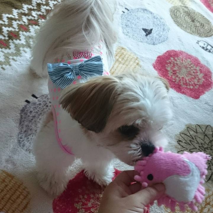 590f0925 64b4 4463 8008 8d2082be7fd6