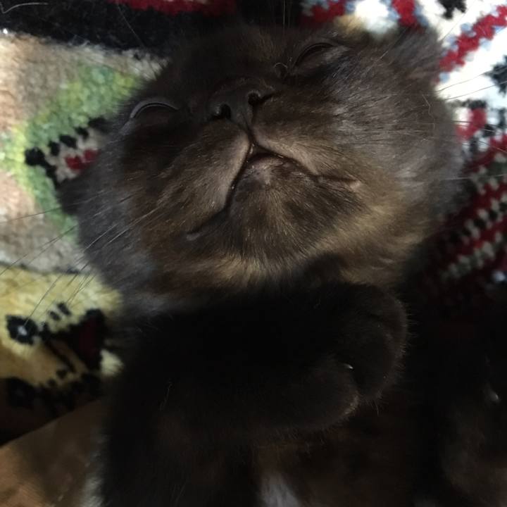 590f10e7 76d0 4484 8cb9 81c7512fe48a