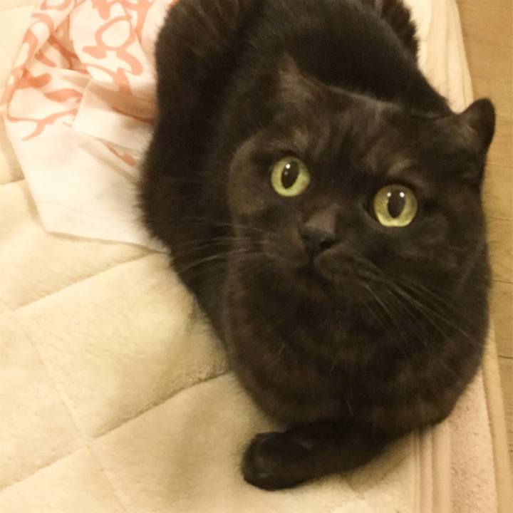 590f5cbd 76ae 4548 bc61 3a58b1eb2e27