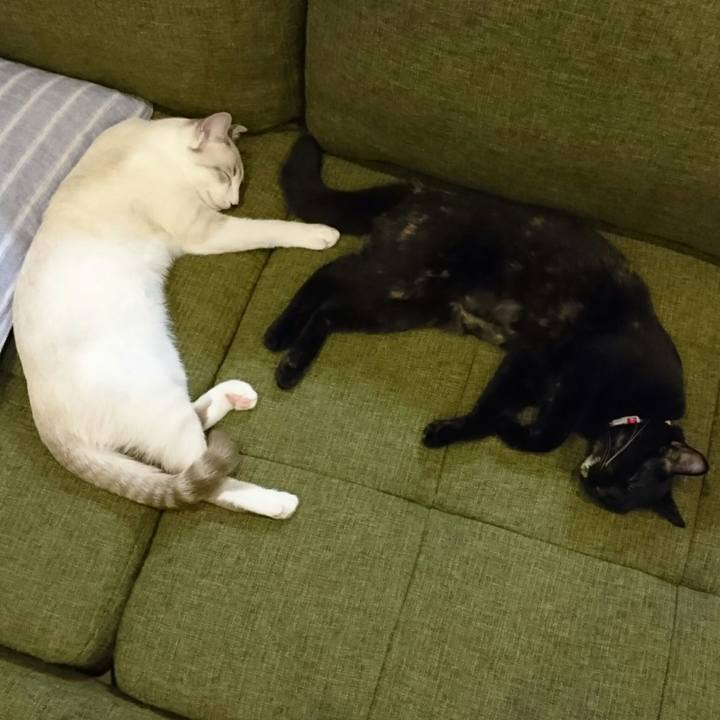 590fac13 f314 445c a1c4 1c021ba75830