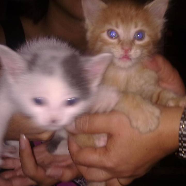 5910c615 70c2 4884 91fa 18fc6d29766f