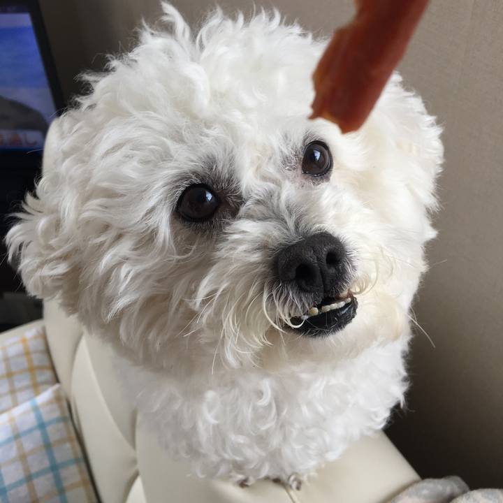 5910e889 46a0 4069 9d1b 1c0a426ee801