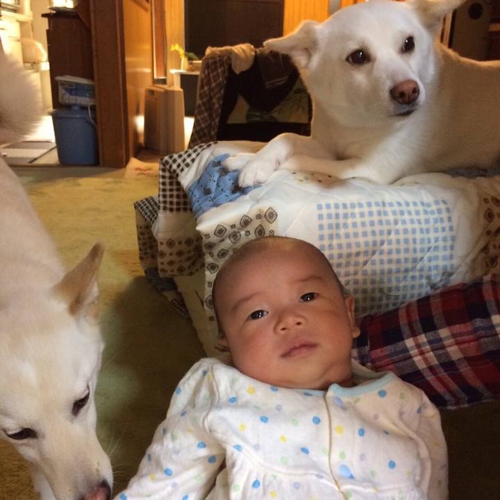 5911c69d 61ac 4d7c a560 b350de9689f7