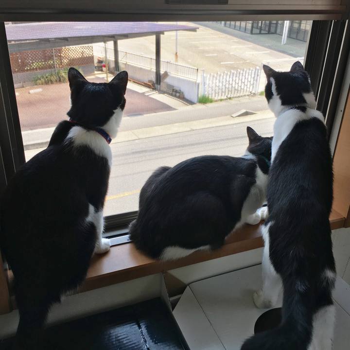 59124784 b2db 4bbd a949 8026e25d86dc