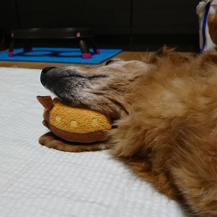 59126248 7a4a 4c07 8780 f5ab732b1ad5