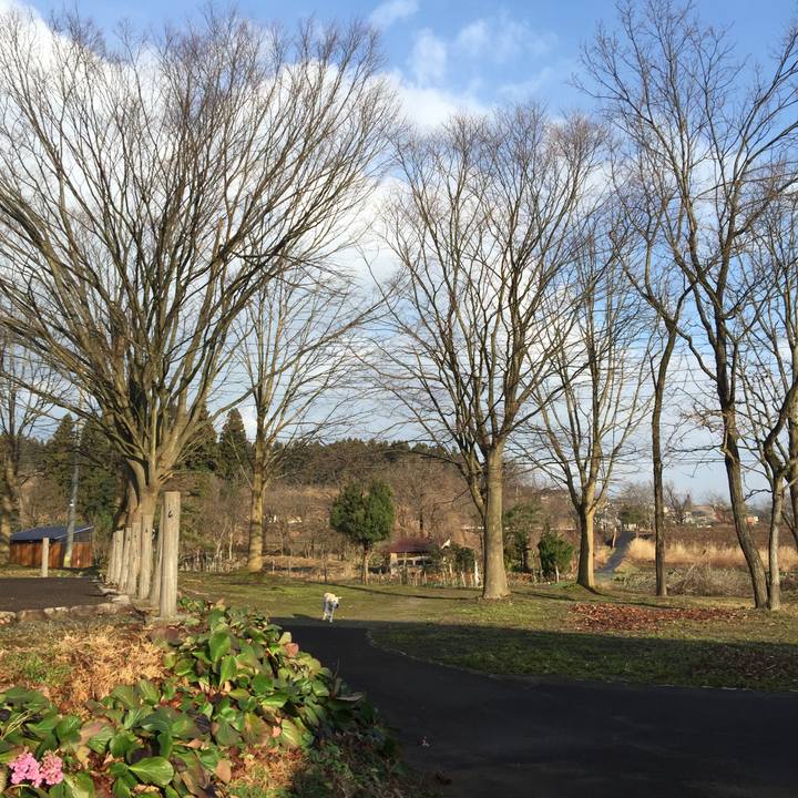 591281c5 ba6d 4330 a669 a4118bc446c3