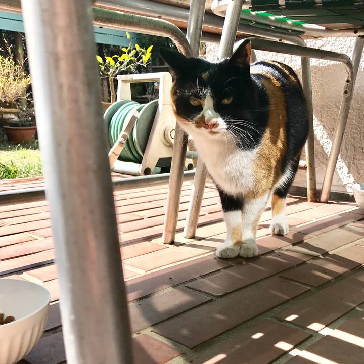 5913e111 1a42 4914 b264 78bdf8ebf26a