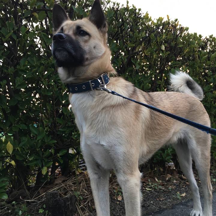 5913e896 2aa9 48bb b742 68dfe8cb3c55