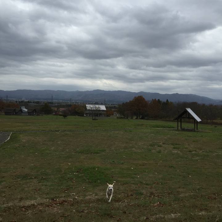 5914716b f8b9 470a b0a4 fa293c52c8a0