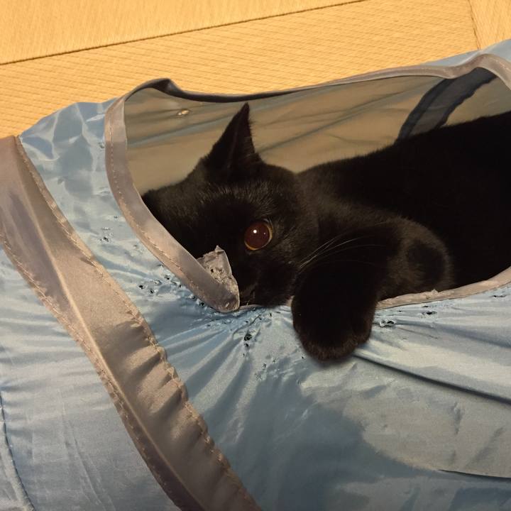 59149ab1 37bb 4497 ac20 654fe7310236