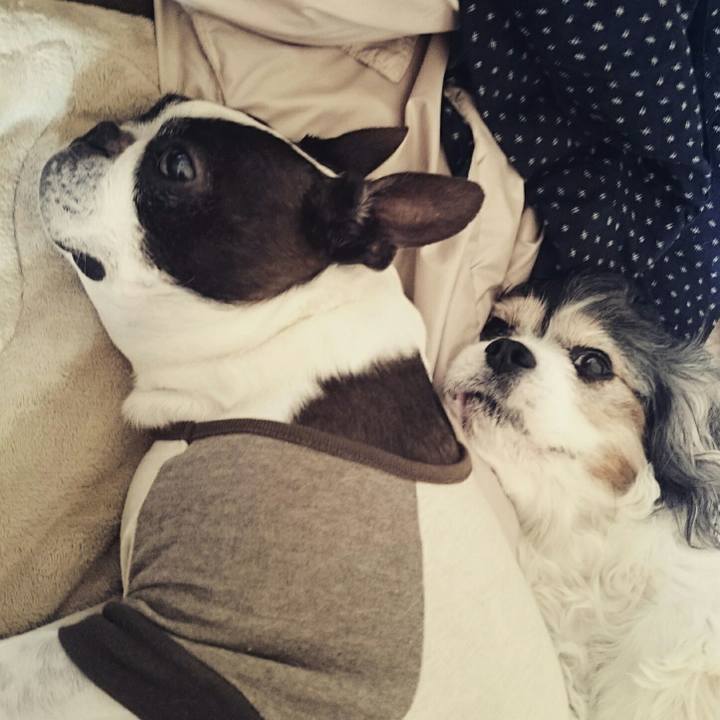 5914ebd6 1937 44f9 aa5c 2975bd67b008