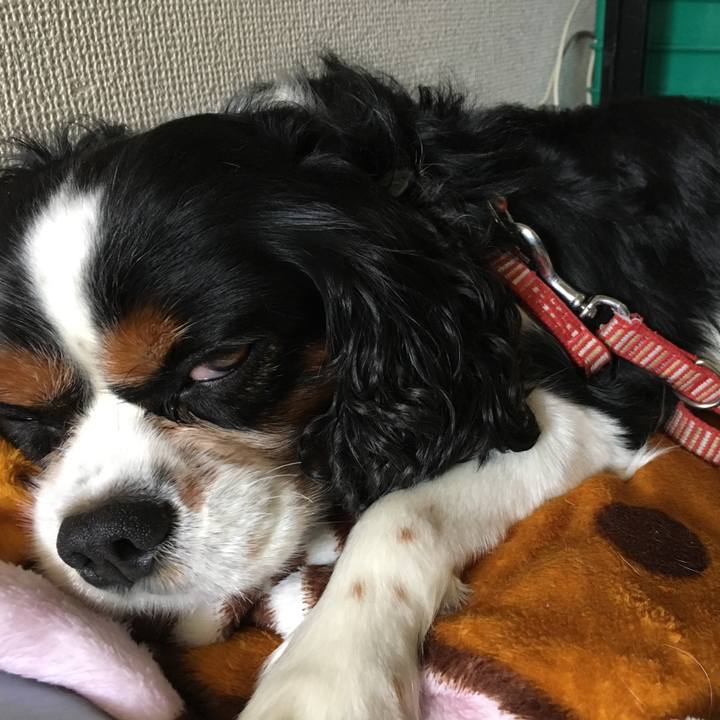 59151c9d 683d 45ff a101 fad06183fd1c