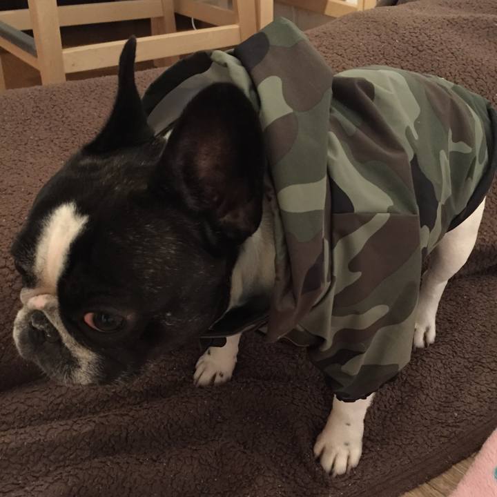 5916f43e fcad 4c1e acd4 f480d344c0c3