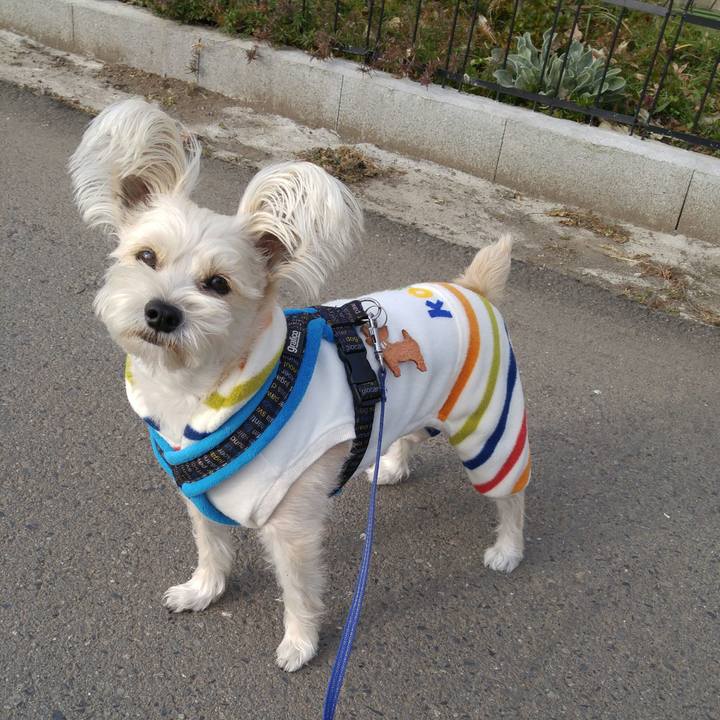 5917c747 ca15 4d43 a803 54976b6693b6