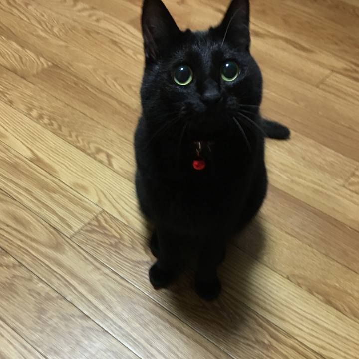 59180c99 c6e1 4e85 8138 9c21f5da0230