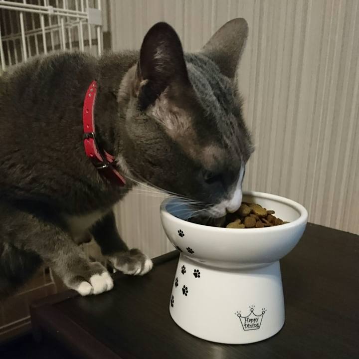 5919c243 2d79 494f 820a f3ab69a5a968