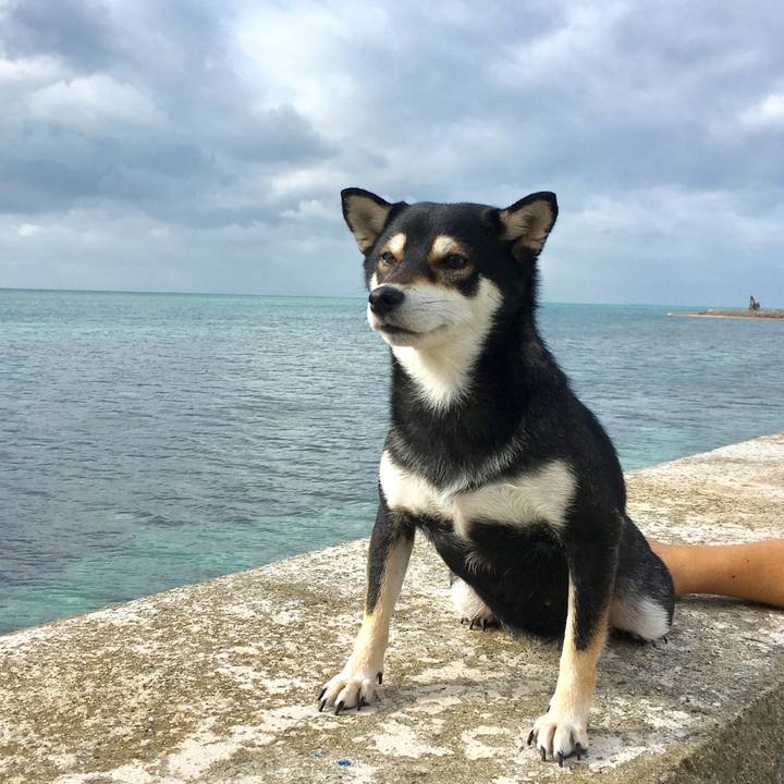 591a693a 3c79 427a 94e4 bf4fa8a6ed16