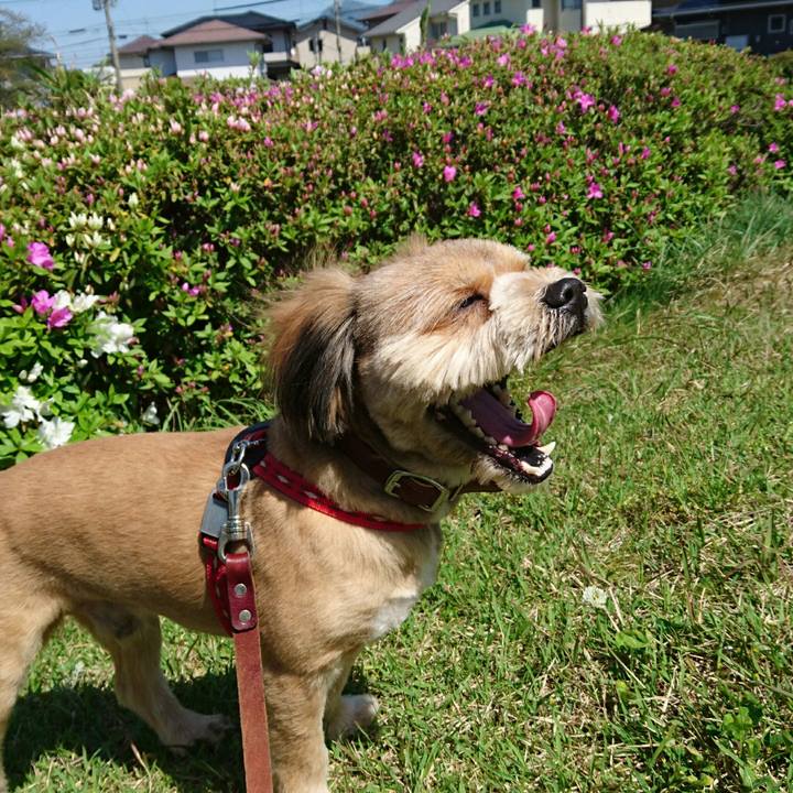 591a9a4a 3847 4b97 8744 b8ac08c8c58d