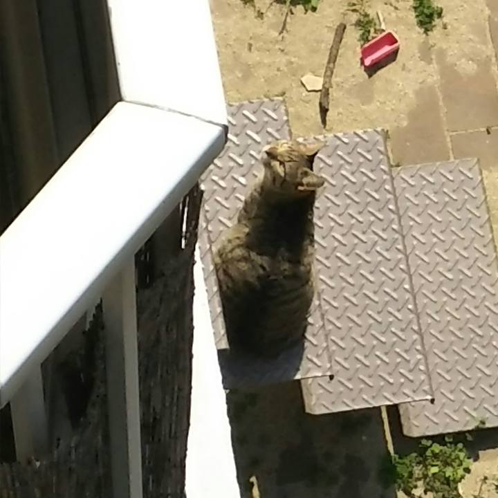 591ab514 e342 457c 8f96 832bdd443848