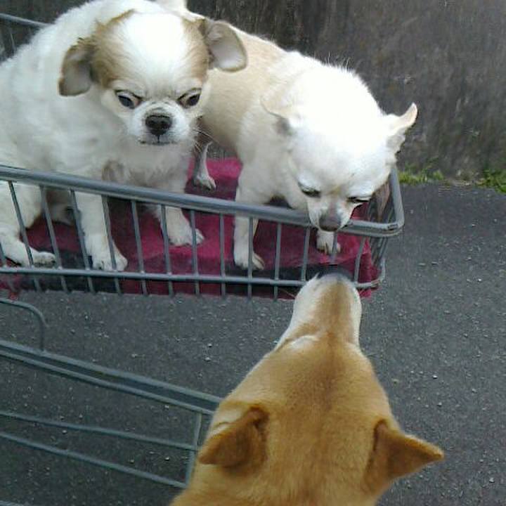 591b4f67 6f9d 4827 be3d 73570f0351a3