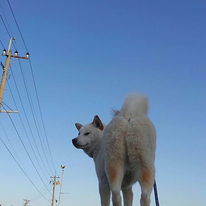 591c65ea 8bf9 4d42 9f6b 32b1bc59b0f6