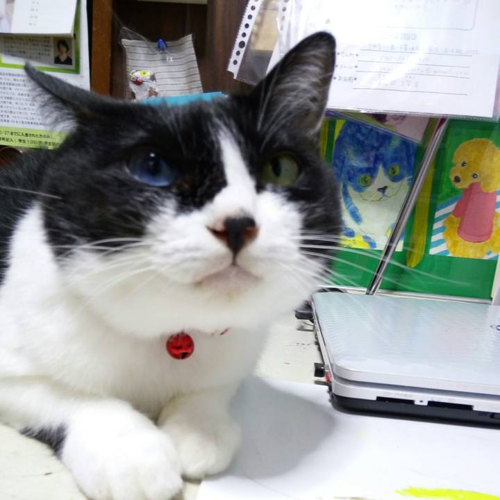 591c7046 0eb9 49fa bc3a 37713644cb4c