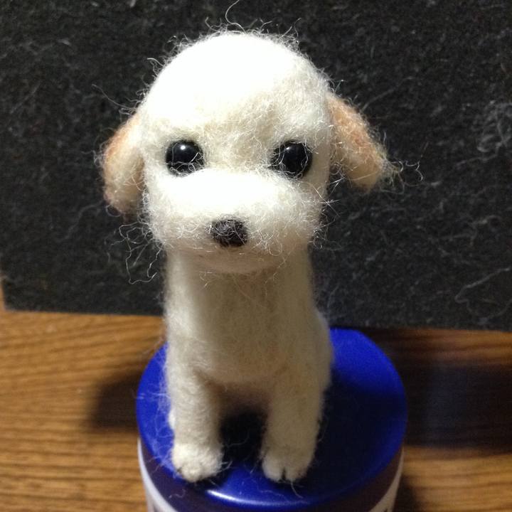 591c9dff 1f09 4955 9734 f7f6b646d513