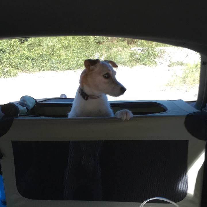 591ccc08 2b05 4ebc 8e41 d96491f0b054