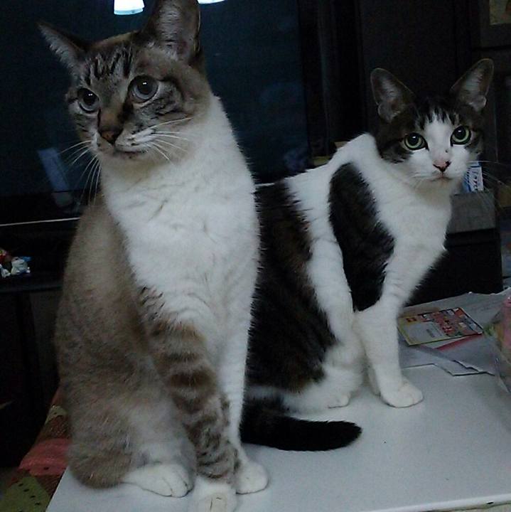 591ccf09 1930 4967 b264 216d803c3024