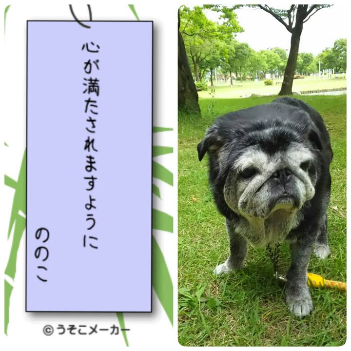 591d3359 b697 494b 8d03 0b2fecee8e7f