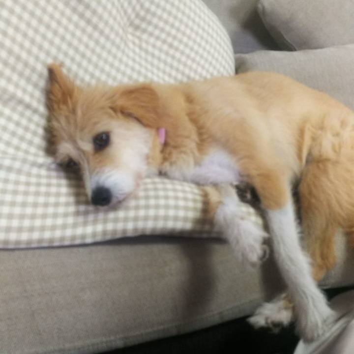 591d9936 b96a 4d44 a546 001f10a9002b