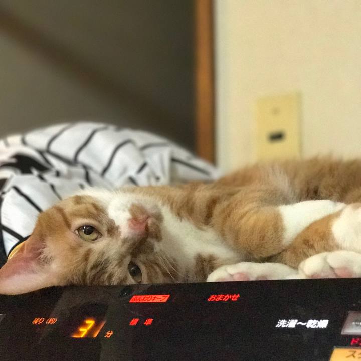 591da855 89c6 4396 9d0b 2f0f23d5d7ee