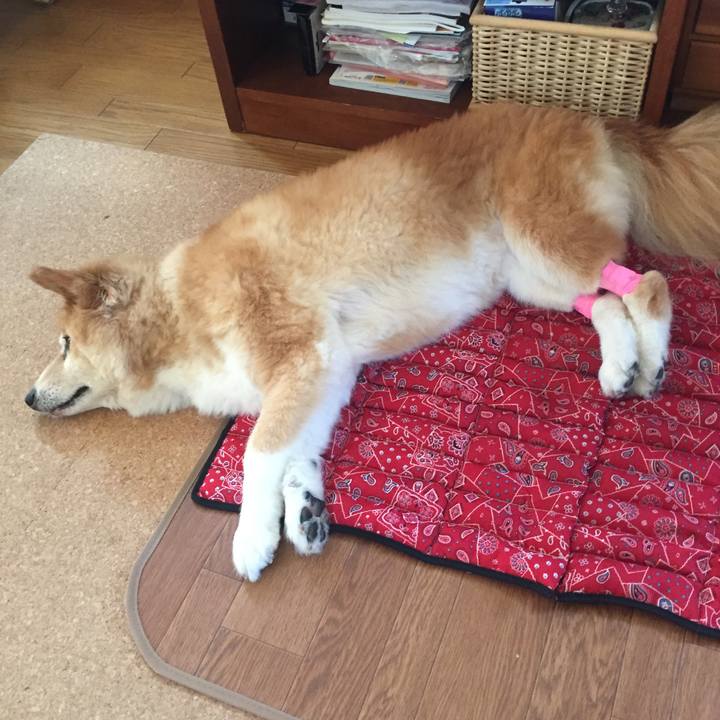 591dc44e c89e 46bf bc6d d11cb88508f0