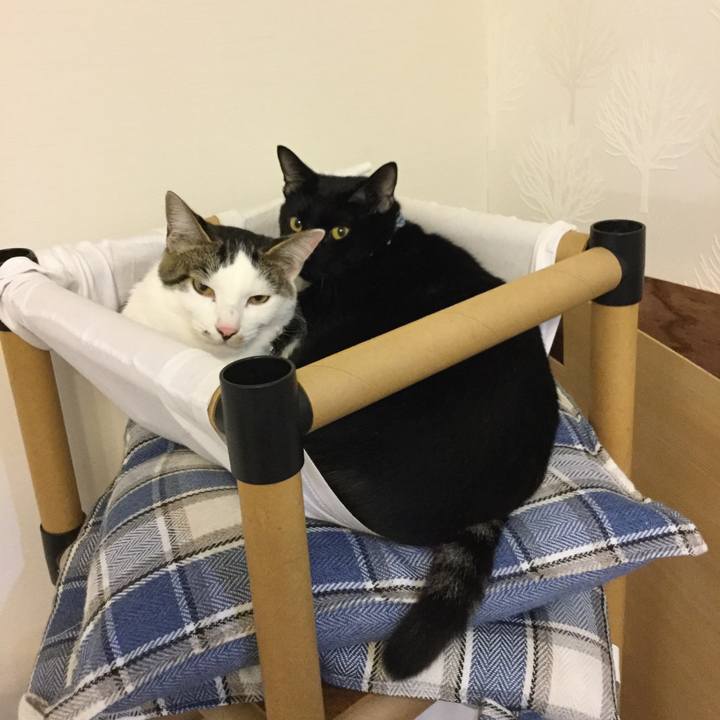 591f9fe1 7ff0 4830 8f0c 5d2781567a6c