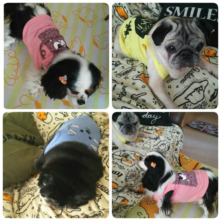 591fbccc c91e 40ea 9fad 4a2abd880a3a