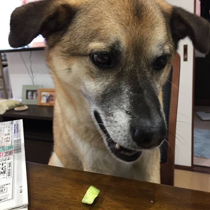 591fd576 a9c6 4a17 8a26 38fed66871a7