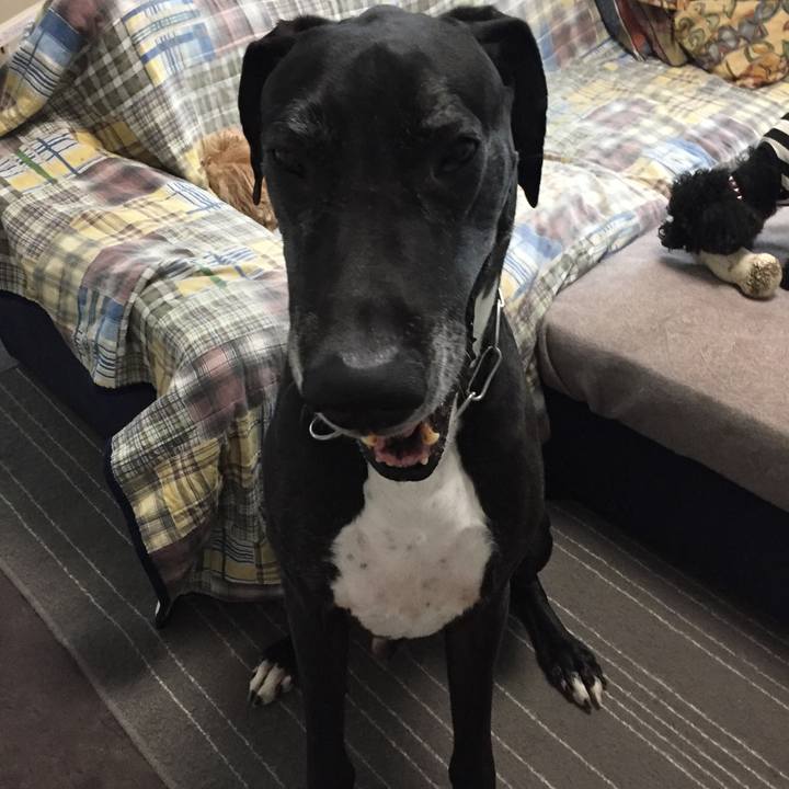 592036f0 b0ed 4456 b8b3 e599cdb20278