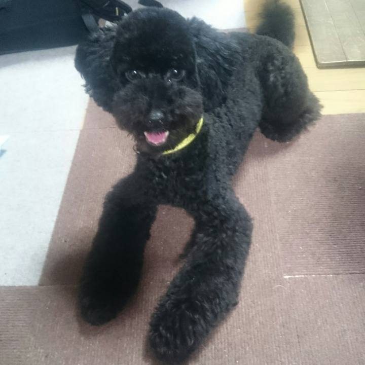 59203ca3 116f 498e 8fa3 91d415f3d70a