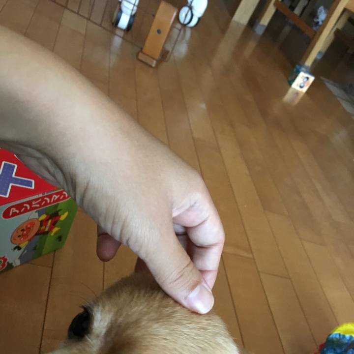 59204011 6021 4247 a3a0 10689be90f19