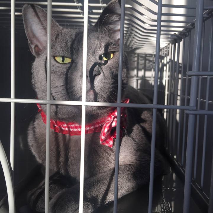 5920b86b 6df2 404c b67b 92fb31f95f81