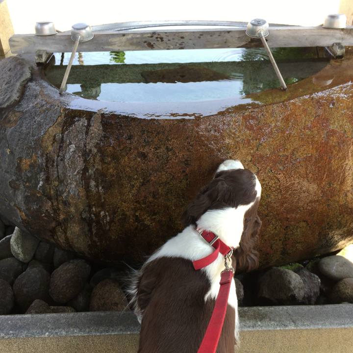 5920d3bb 13f6 489d b3e3 5c2192b26ef8