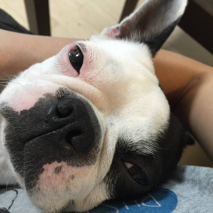 59210734 5b88 48e1 95bc 7fb604b9f30f