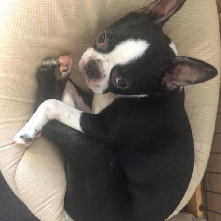 59214b59 6f3d 47ea b698 6f3680416b99