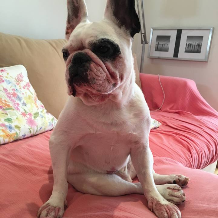 59215a2e 00a7 4a29 94b8 91dc4adacf28