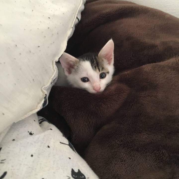 59218feb ed85 469d 9a76 7b946d55d8aa