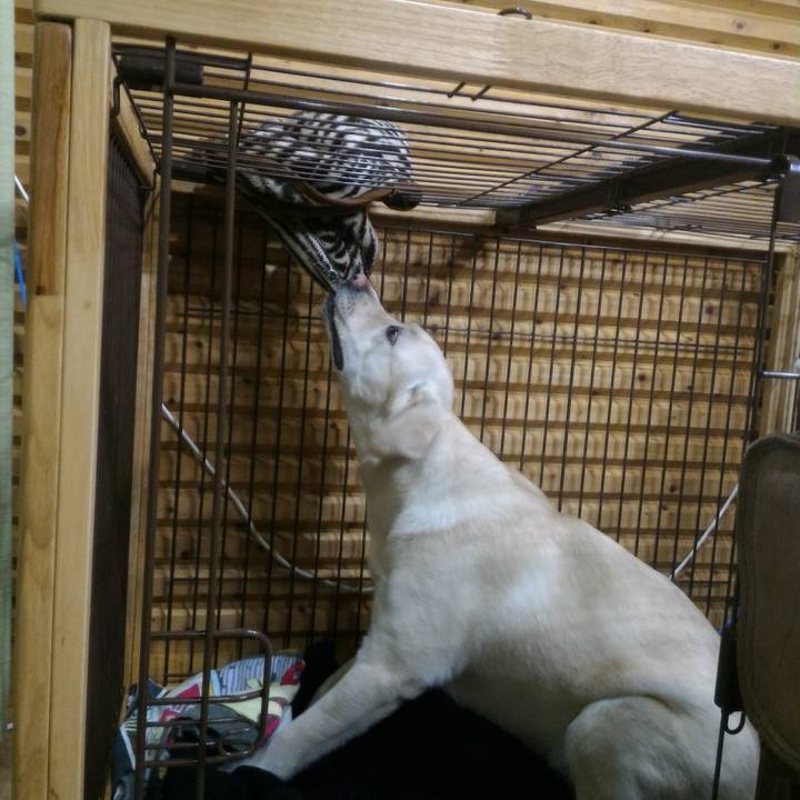 5921c2b0 6500 47a0 91ce a5d8dc40b7bf