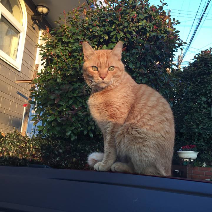 5921cc19 da26 49aa a49c a5a5f33affde