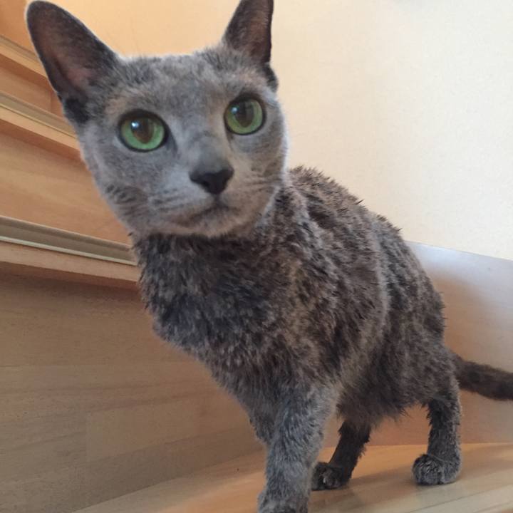 5921dc24 f026 4424 a62d 3c5ca7352d73