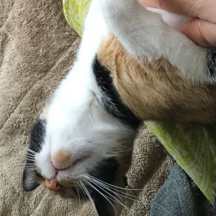 59221690 9371 4251 a113 f557e2e0a255